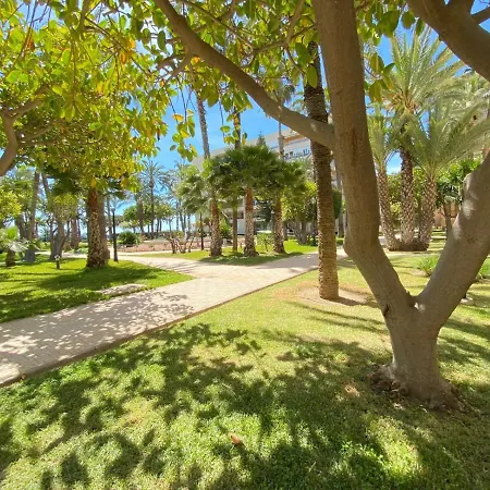 Golden In Palm Park *