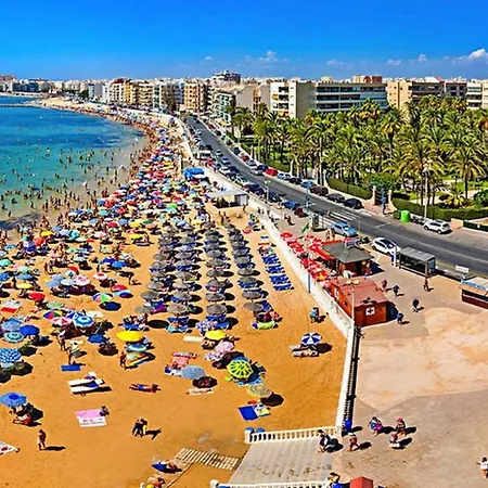 Golden In Palm Park דירה