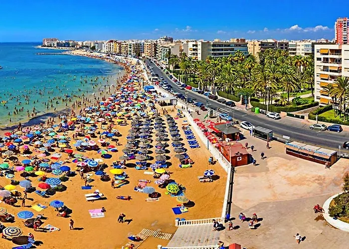 Golden In Palm Park شقة